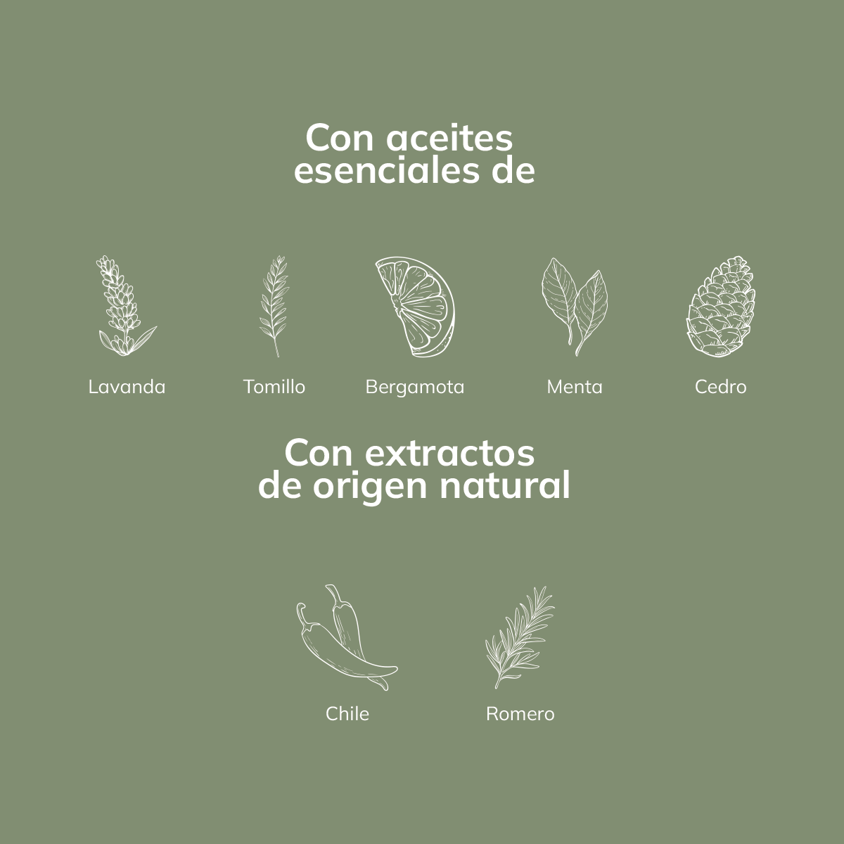 Shampoo Natural Blackbeard con Aceites Esenciales